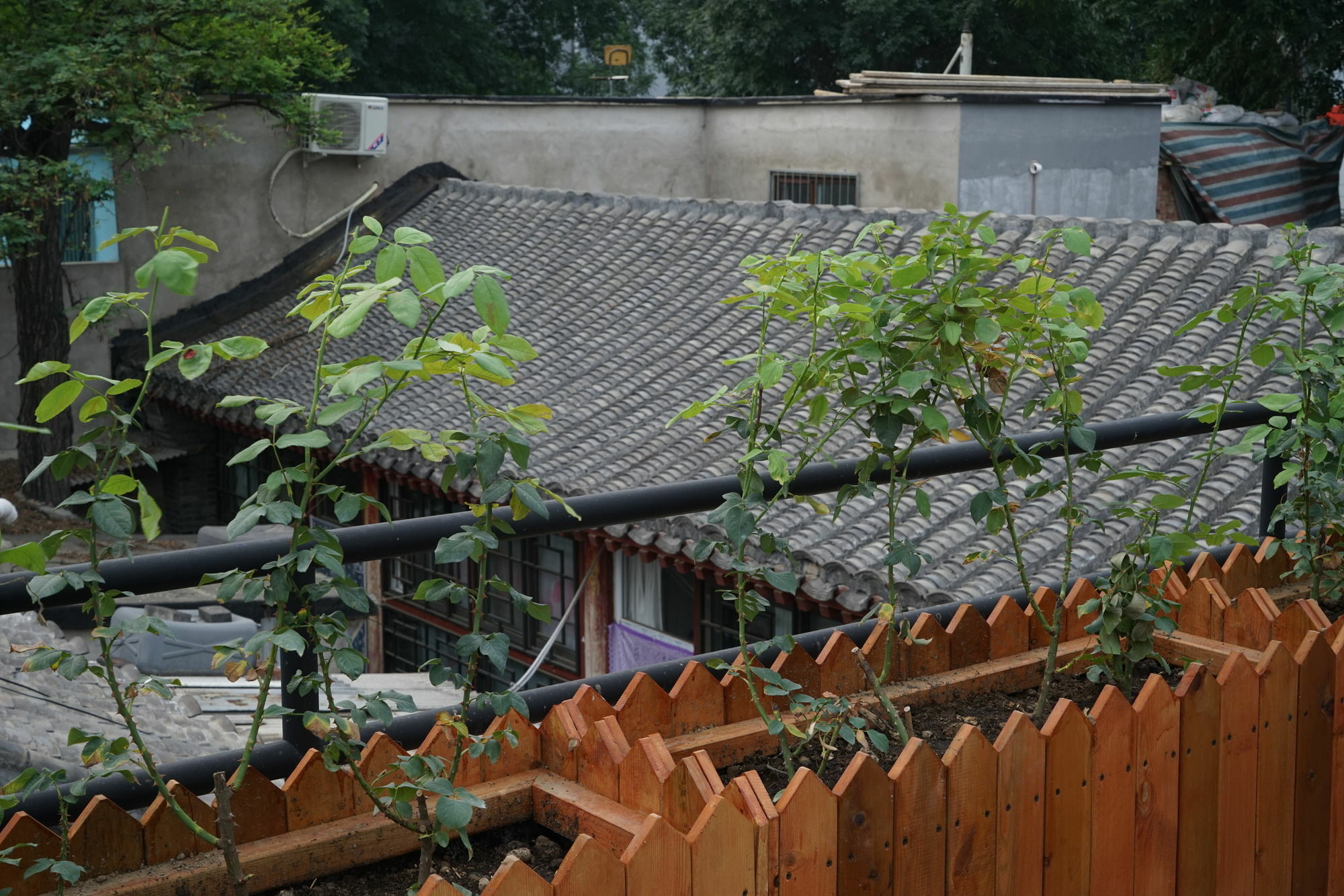 Garden Inn Beijing Pequim Exterior foto